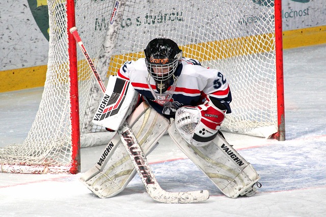 了球队的稳 了球队的稳